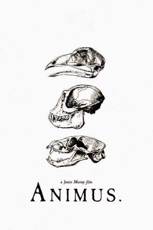 Animus Animus