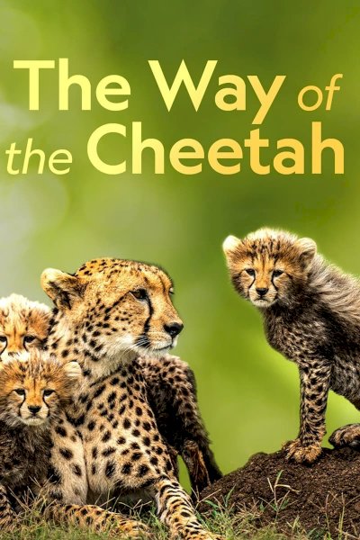 The Way of the Cheetah The Way of the Cheetah