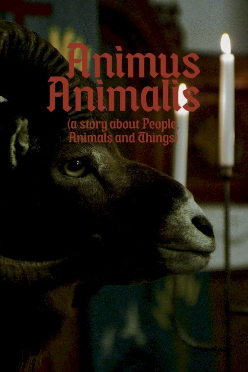Animus Animalis (A Story about People, Animals and Things) Animus Animalis (A Story about People, Animals and Things)