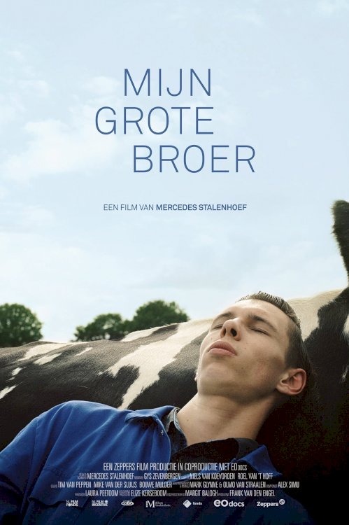 Mijn grote broer Mijn grote broer