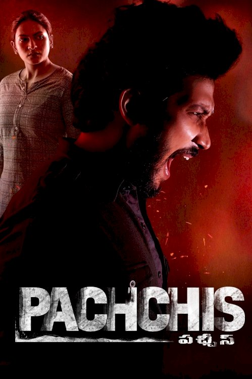 Pachchis Pachchis