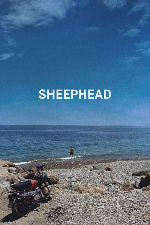 Sheephead Sheephead