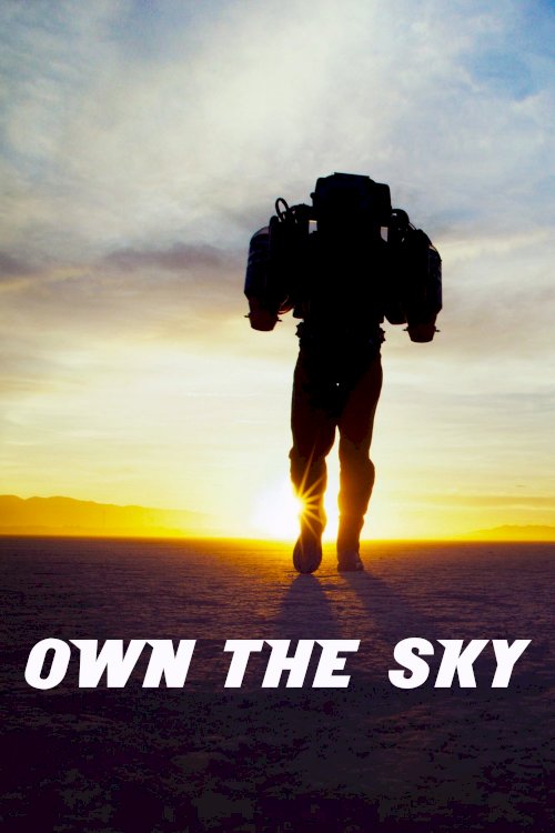 Own The Sky Own The Sky