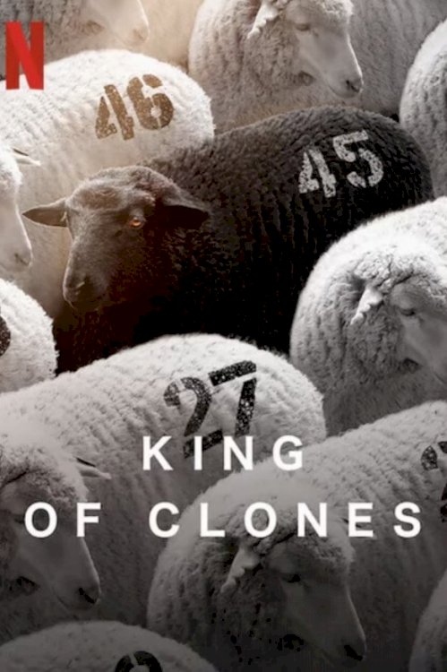 King of Clones King of Clones