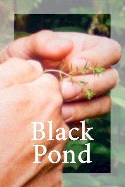 Black Pond Black Pond