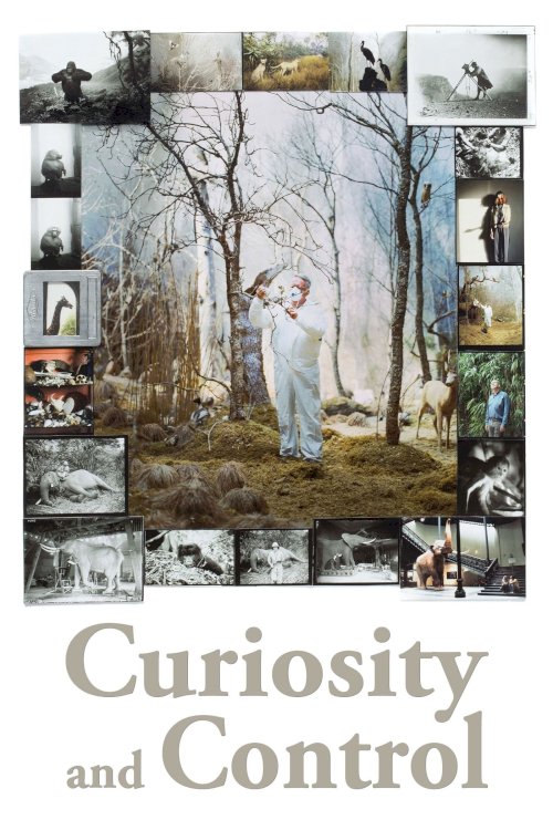 Curiosity and Control Curiosity and Control