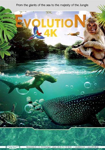 Evolution 4K Evolution 4K