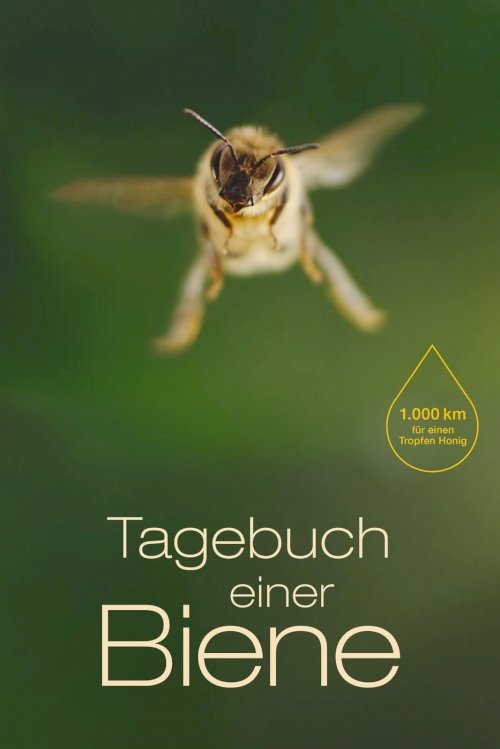 Diary of a Bee Diary of a Bee