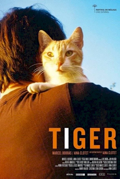 Tiger Tiger