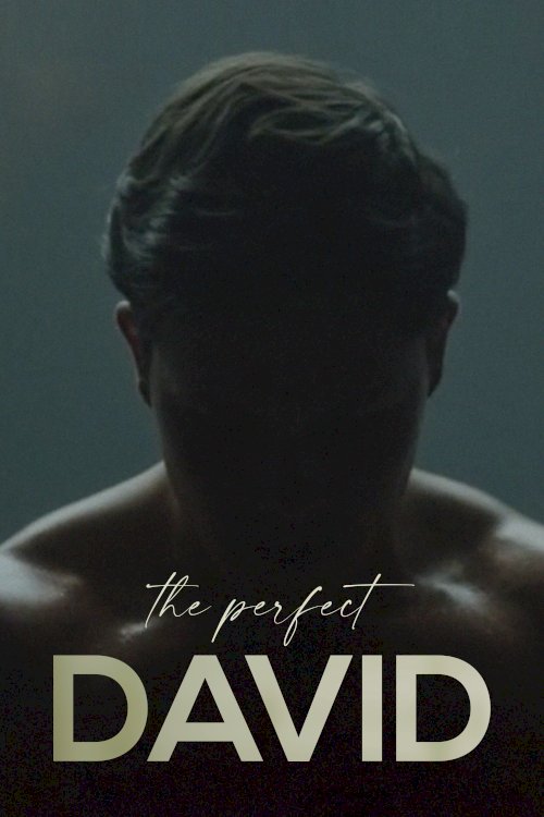 The Perfect David The Perfect David
