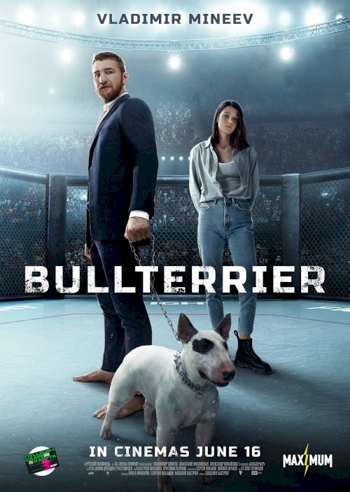 Bullterrier Bullterrier