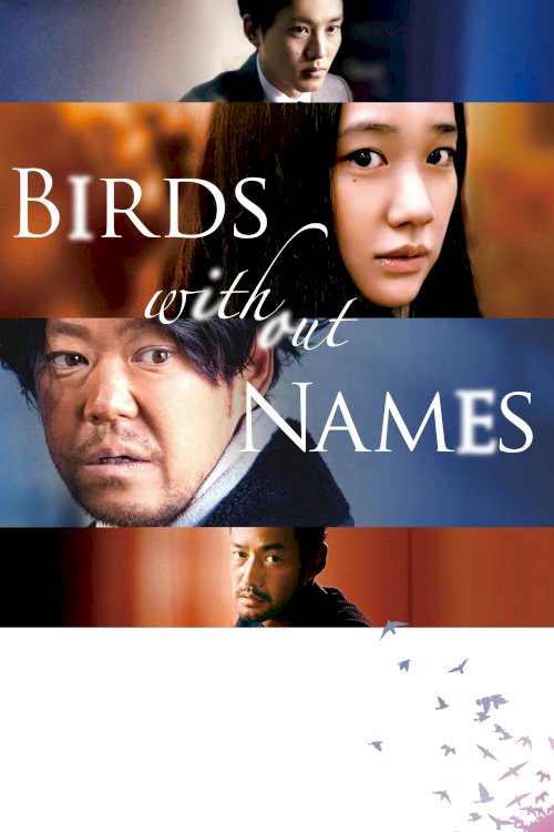 Birds Without Names Birds Without Names