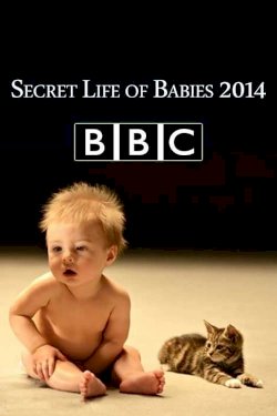 Secret Life of Babies Secret Life of Babies