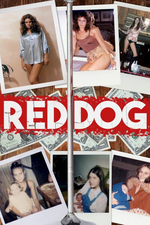Red Dog Red Dog