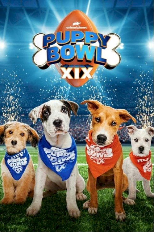 Puppy Bowl XIX Puppy Bowl XIX