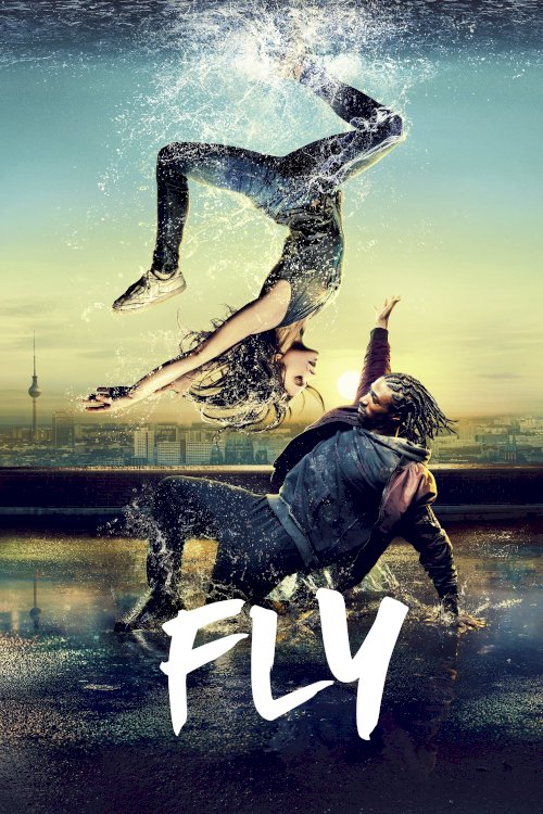 Fly Fly