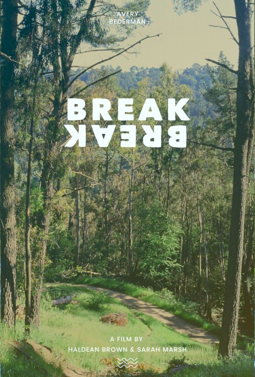 Break Break Break Break