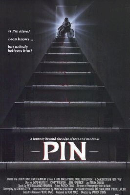 Pin Pin