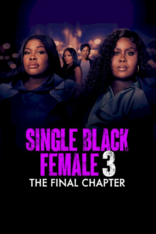 Single Black Female 3: The Final Chapter Single Black Female 3: The Final Chapter