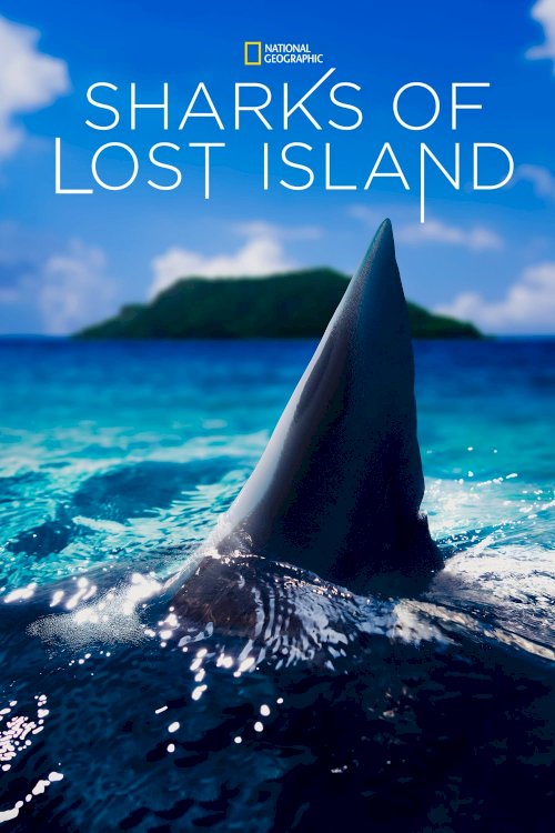 Sharks of Lost Island Sharks of Lost Island