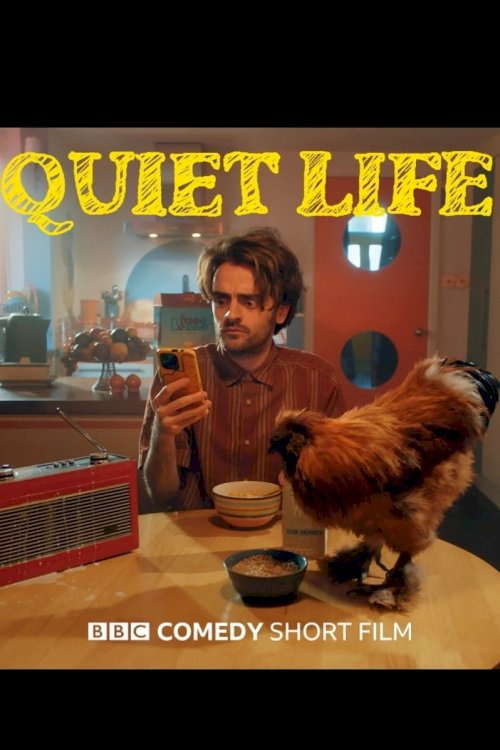 Quiet Life Quiet Life