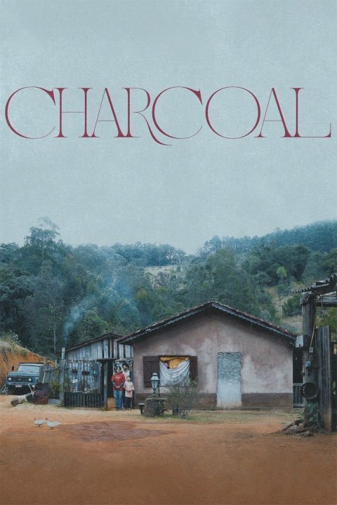 Charcoal Charcoal