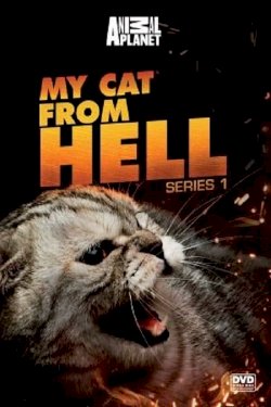 My Cat From Hell
