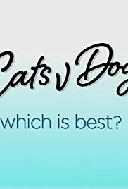 Cats v Dogs: Which is Best?