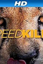 Speed Kills