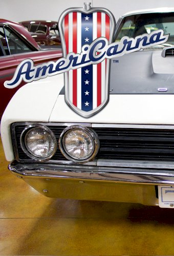 AmeriCARna