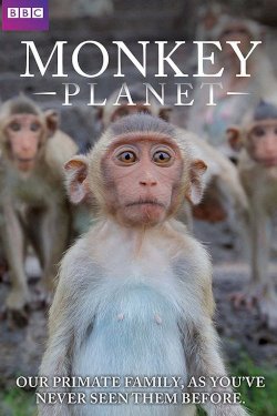 Monkey Planet