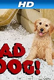 Bad Dog!
