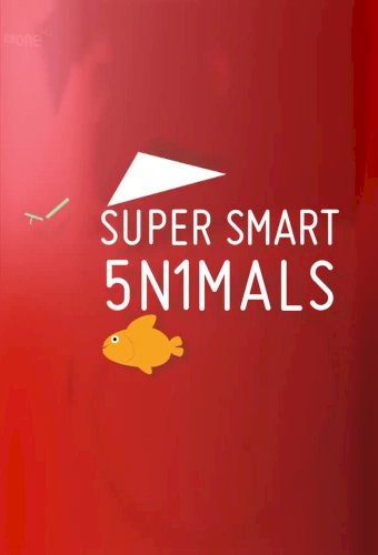 Super Smart Animals