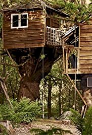 Jimmy's Forest