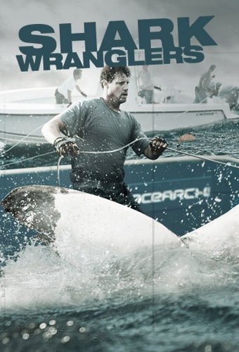 Shark Wranglers