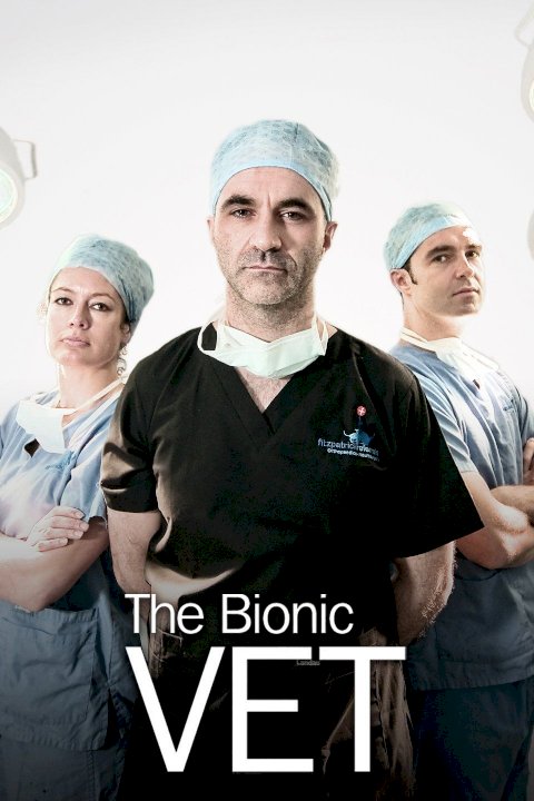 The Bionic Vet