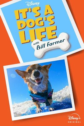 It's a Dog's Life with Bill Farmer
