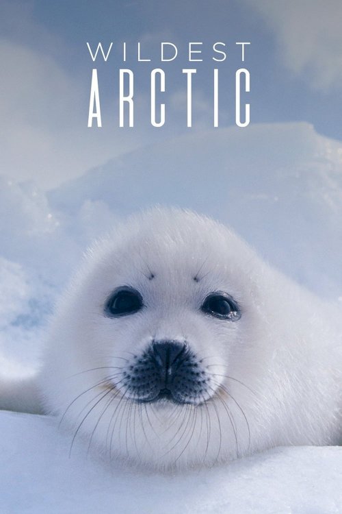 Wildest Arctic
