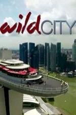 Foxes Live: Wild in the City