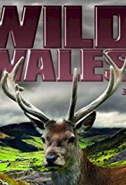 Wild Wales