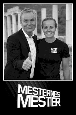 Mesternes mester