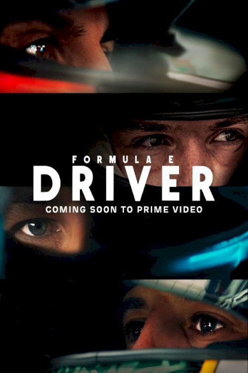 Formula E: Driver