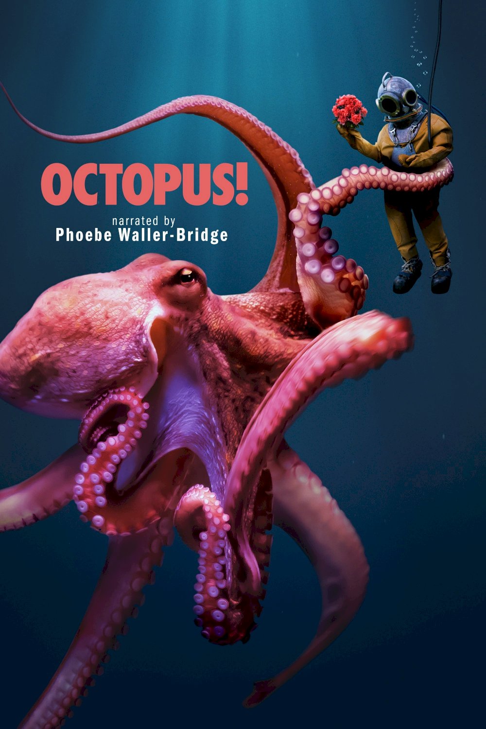 Octopus!