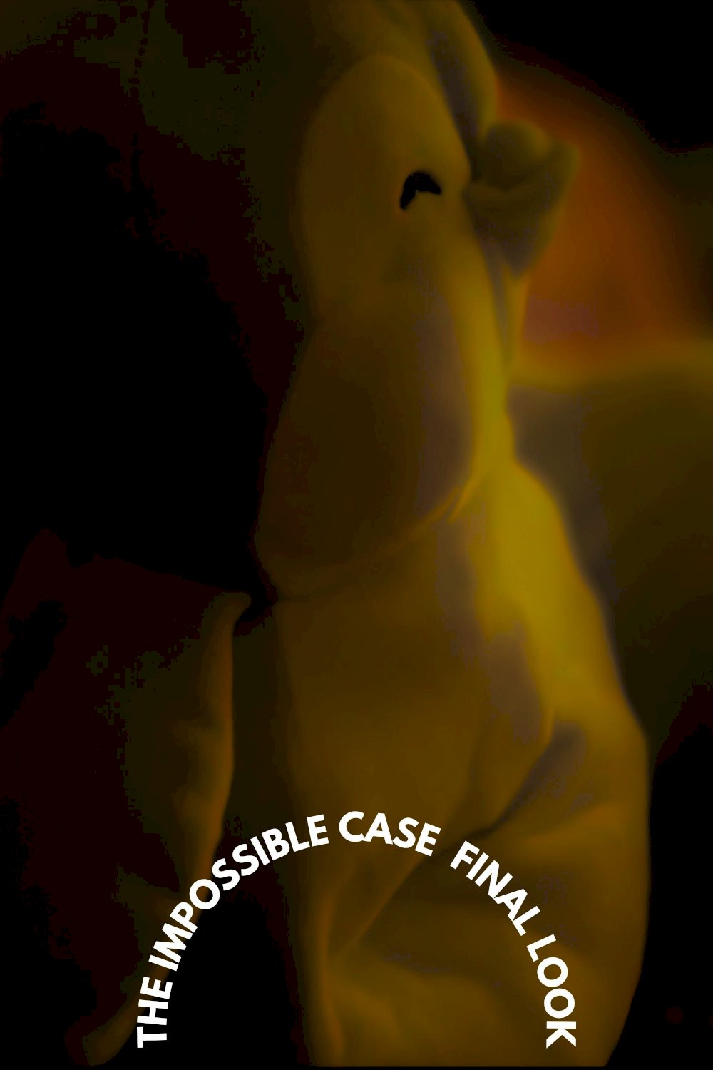 The Impossible Case