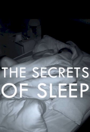 The Secrets of Sleep