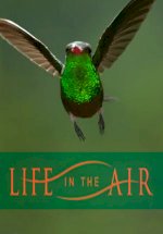 Life in the Air