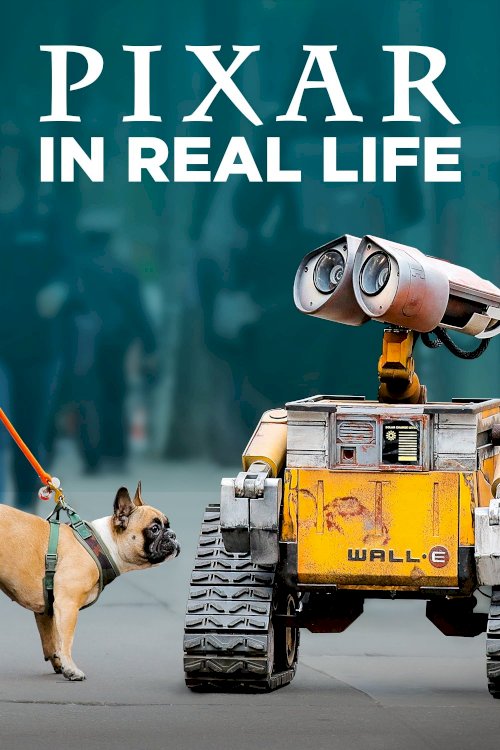 Pixar in Real Life
