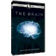 The Brain with David Eagleman