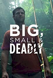 Big, Small & Deadly